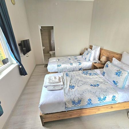 Hilltop Guest House Koutaïssi Extérieur photo