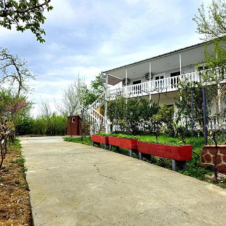 Hilltop Guest House Koutaïssi Extérieur photo