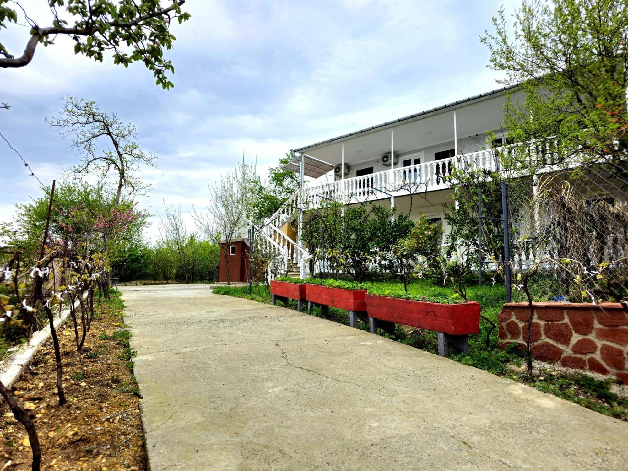 Hilltop Guest House Koutaïssi Extérieur photo